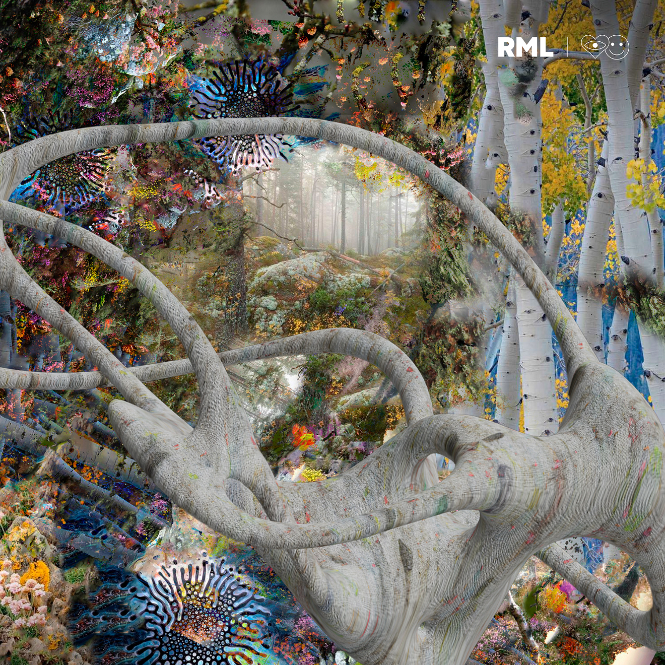 Finetune — Natural Complexity 1.jpg